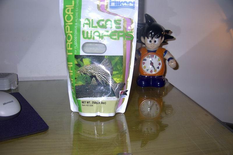 鼠鱼饲料推荐,鼠鱼推荐放什么植物