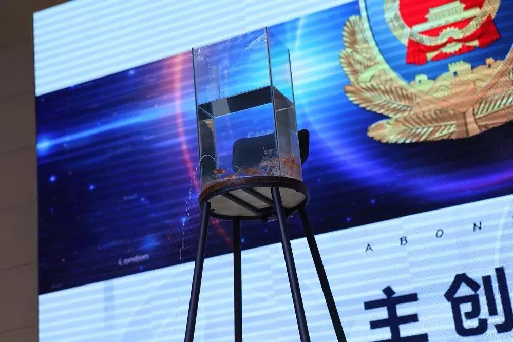 功夫小子电视连续剧50集,功夫小子电影免费正片