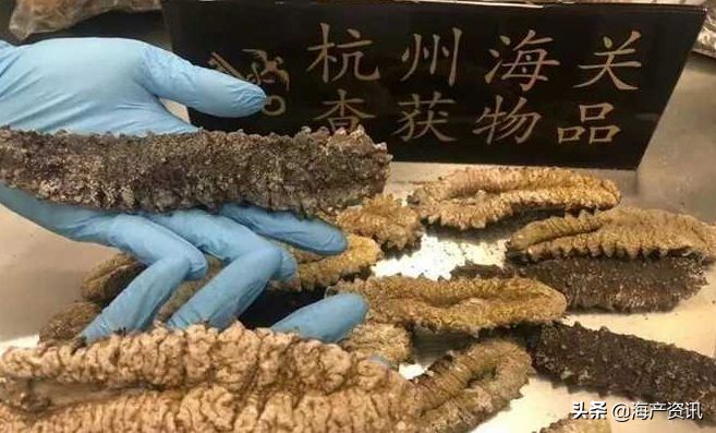 加拿大进口即食海参,加拿大即食海参500g6只左右