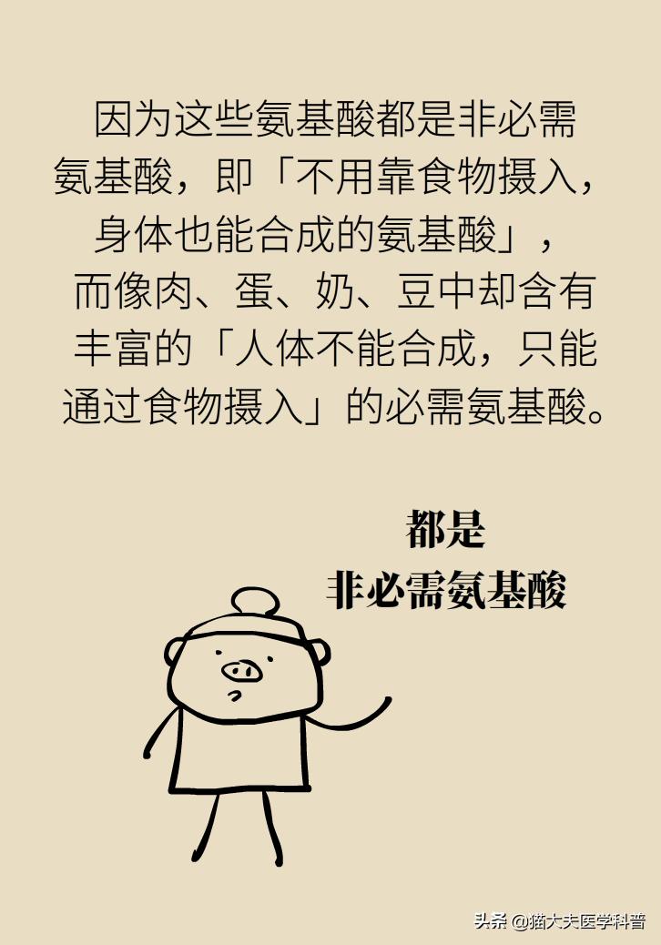 明星吃花胶,花胶的功效与作用排行榜