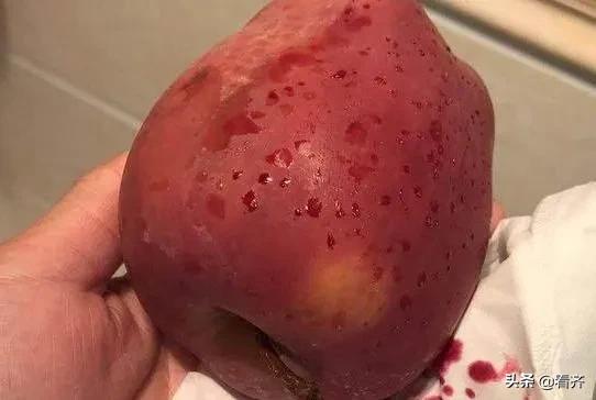 晚上吃苹果等于“自杀”？难道苹果会产生毒素？今天给大家说清楚