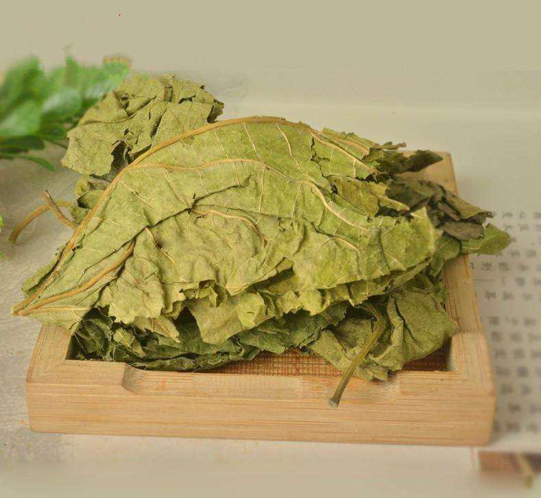 在这个干燥易过敏的季节,72岁名老中医每天必喝「桑蚕菊花茶」