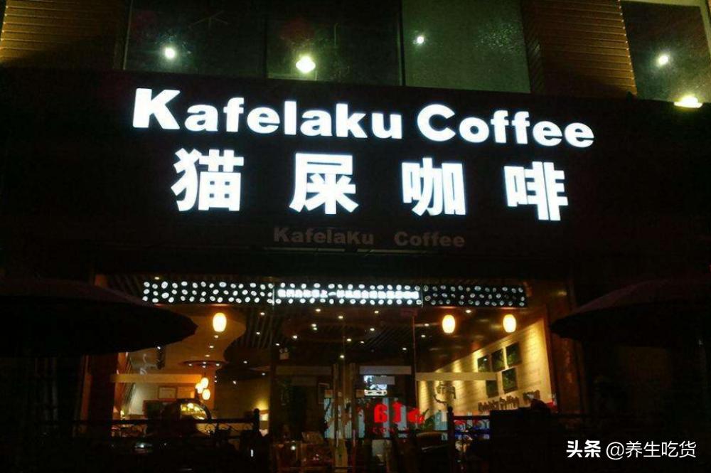 “千金难求”的猫屎咖啡，是如何制作而成的，看完你还想喝吗？