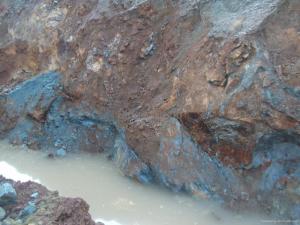 上海市自然资源,上海自然资源禀赋