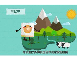 冬病夏治大同市三伏贴正式开贴,中医院冬病夏治贴