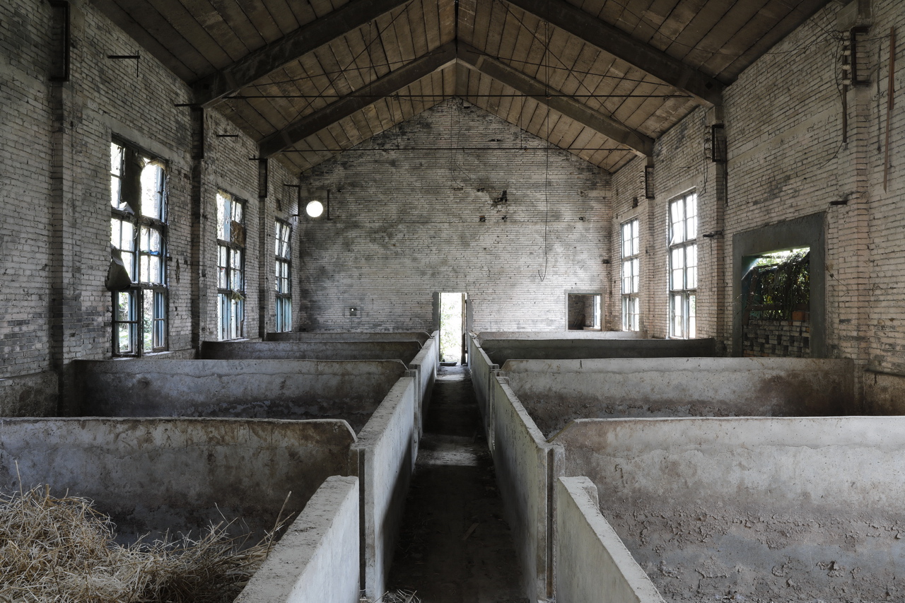 国营长江光学仪器厂,国营二八八厂视频