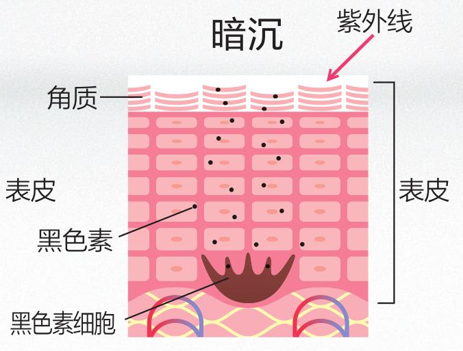 秦海璐紧致皮肤,秦海璐美白皮肤