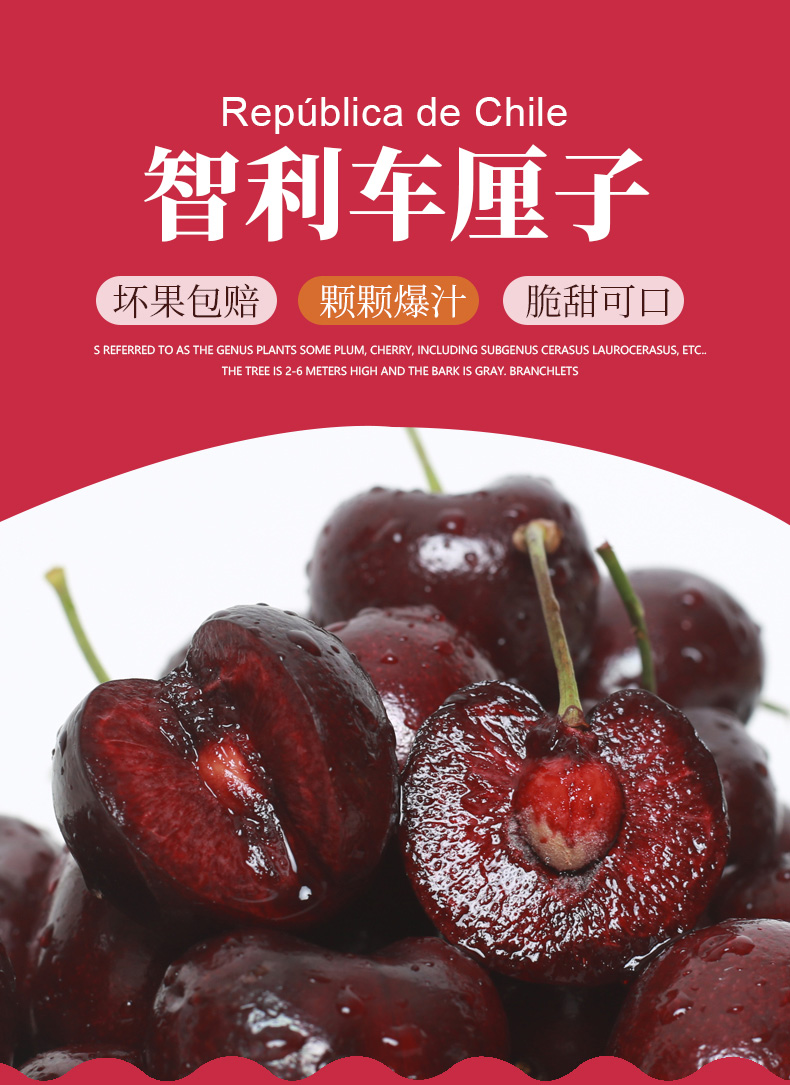 原装正宗智利车厘子,正宗智利车厘子多少钱一斤