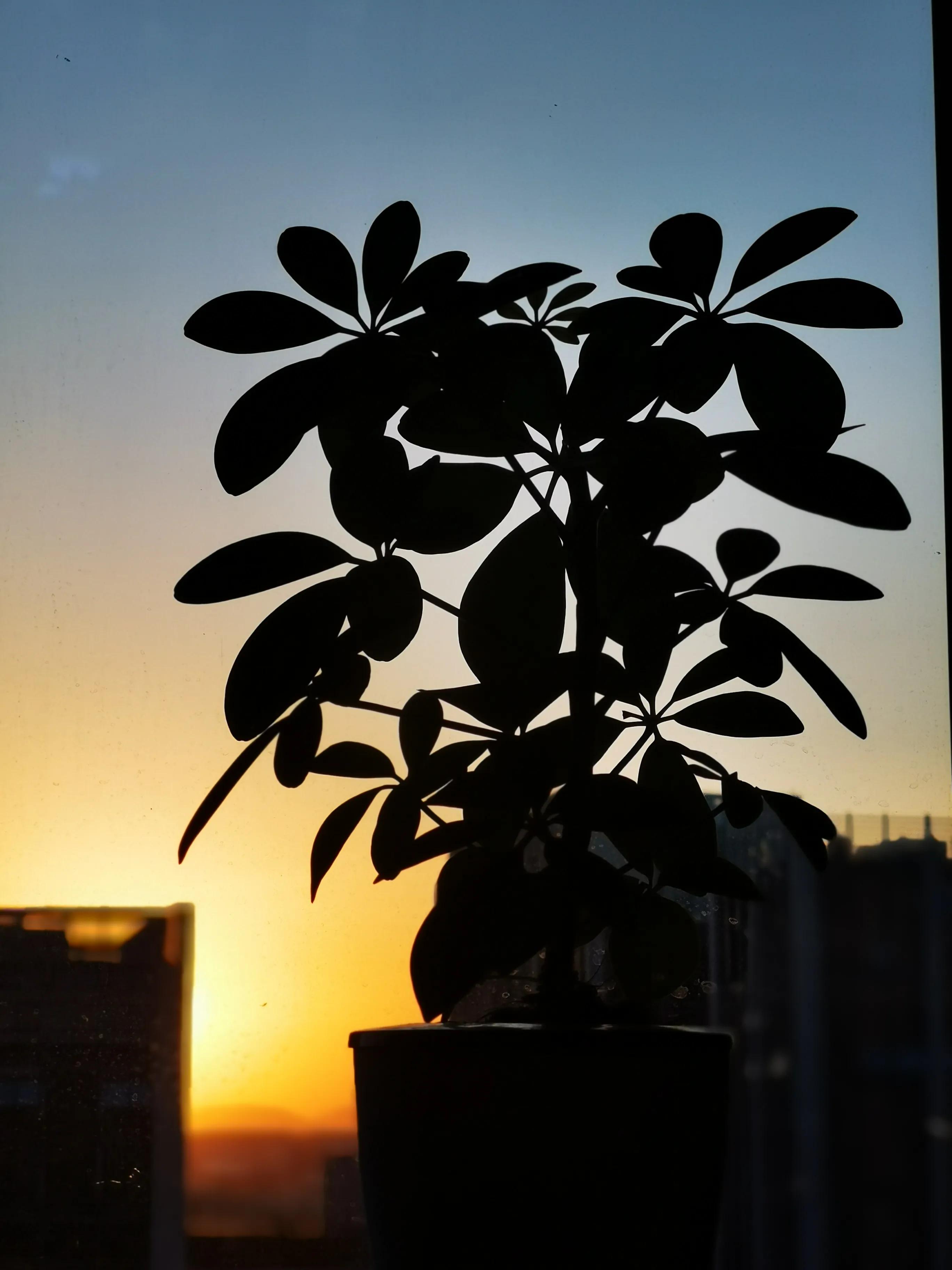 家装合同怎么签才合法呢,装修签合同处处是陷阱