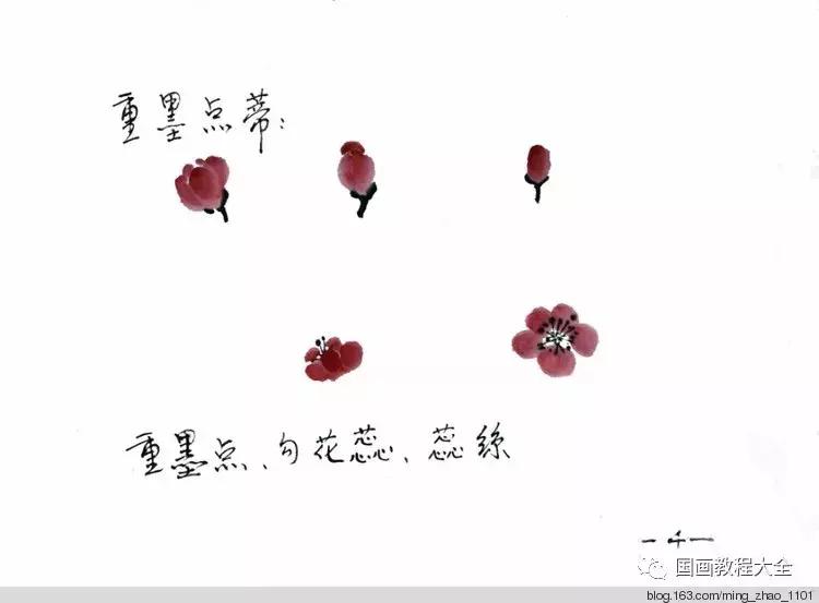 工笔画花鸟入门教程步骤图,国画教学工笔花鸟燕子的重彩画法