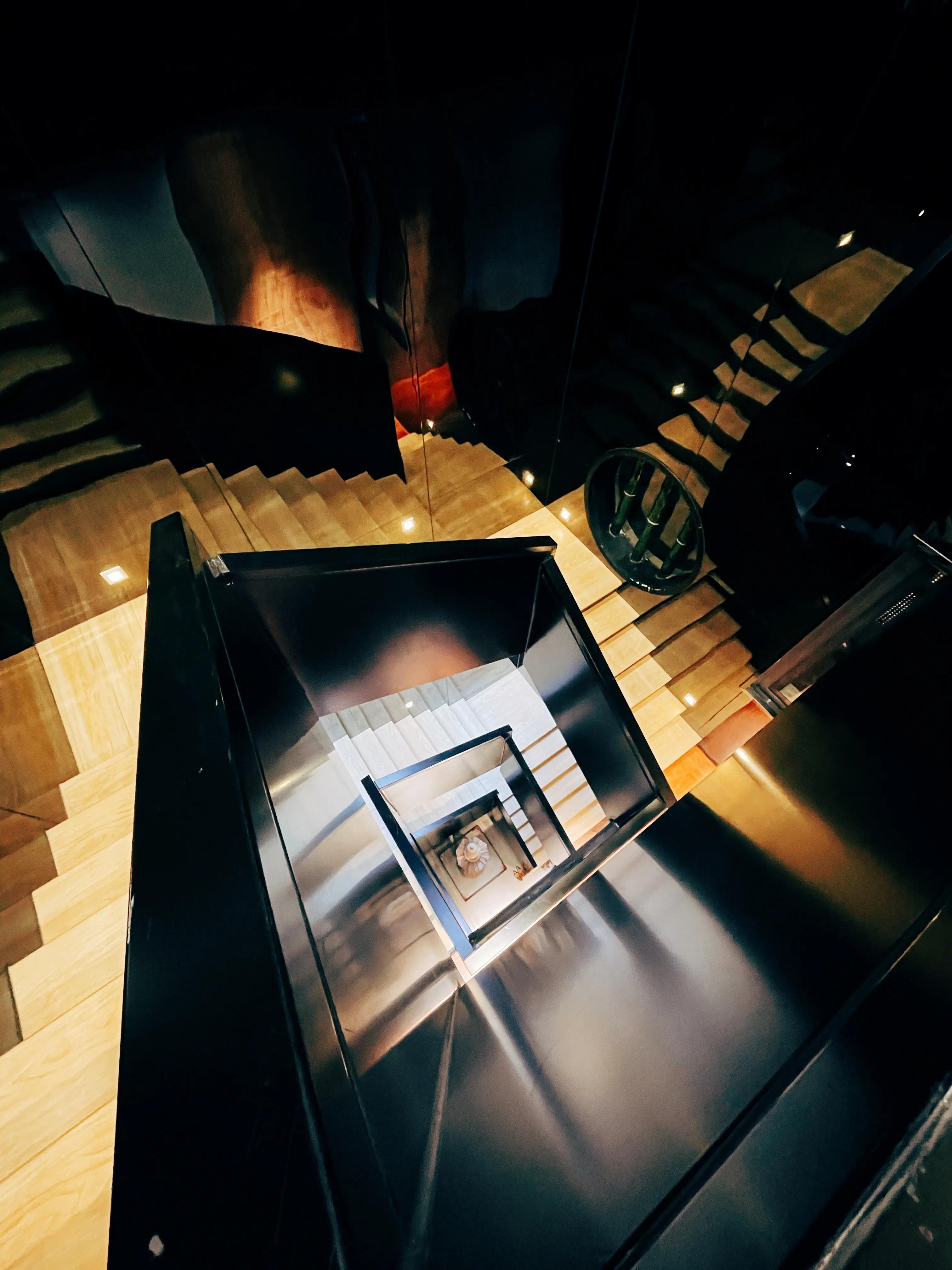 刺桐花开巨型雕塑,静待刺桐花开全文