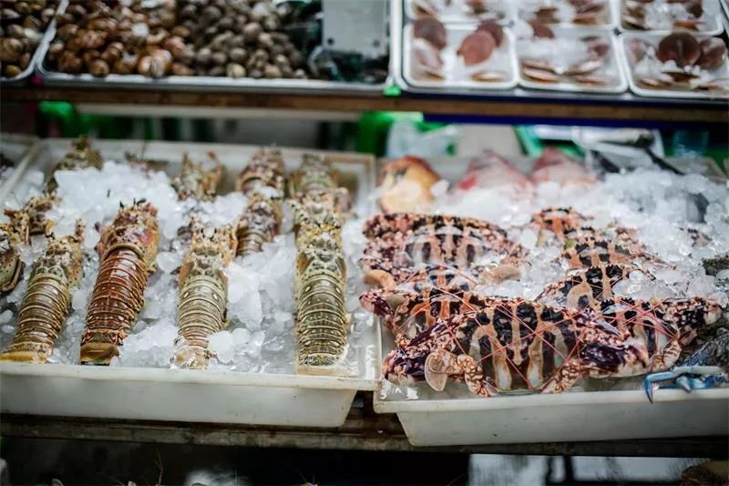 在石家庄生活需要什么条件,在石家庄生活中的技巧