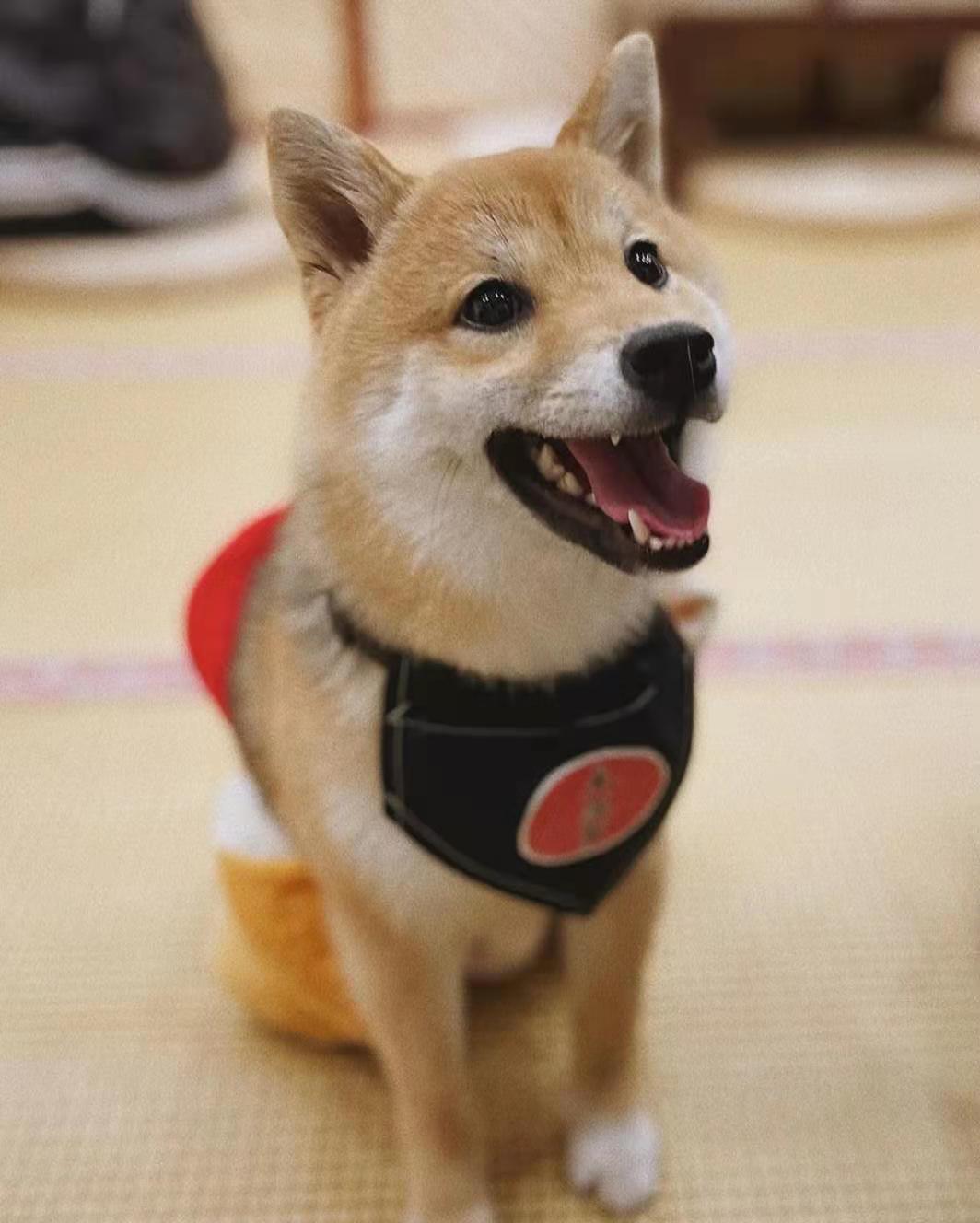 约会美食攻略,选对美食可促进约会气氛