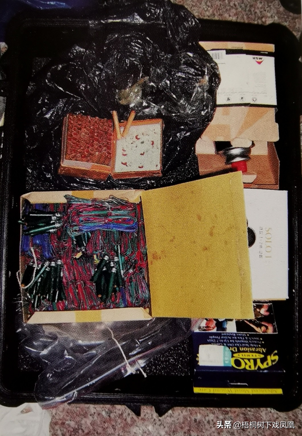 真实盗墓破案,盗墓细节太真实被抓获