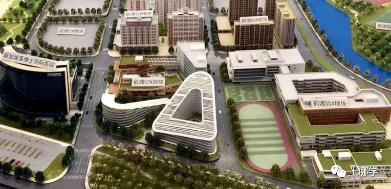 上海公办小学必须选择对口的学校,上海哪些小学学校是不限户籍招生