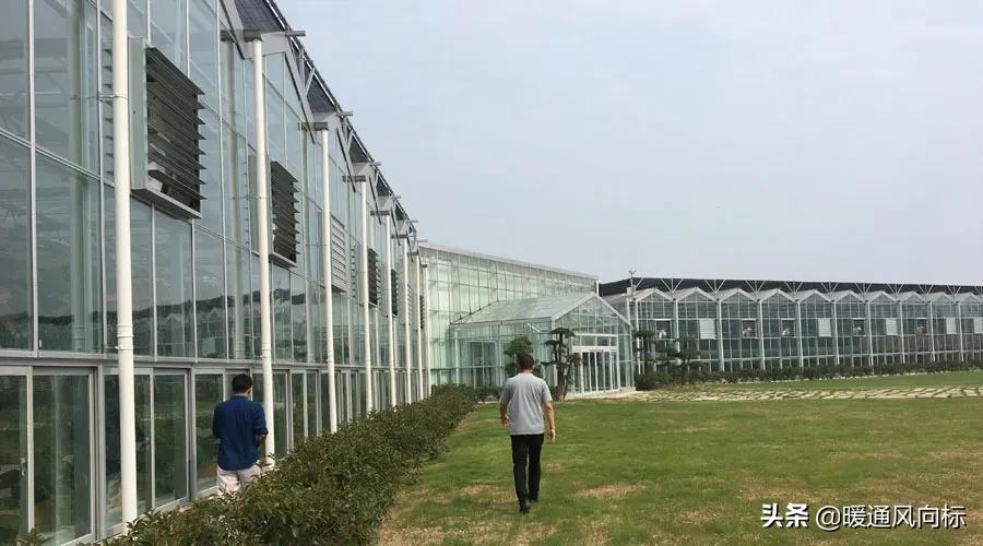 三大案例，带你走进农业种植大棚、畜牧养殖和水产养殖供热市场