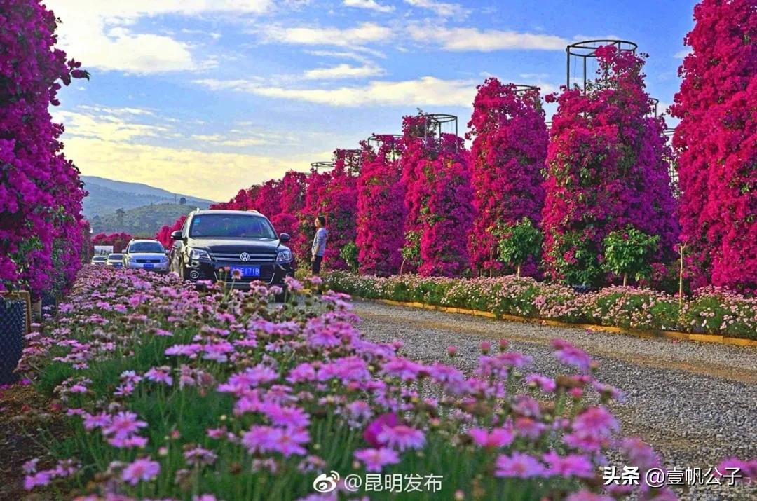 被大理的美景所折服,被丽江的风景美到了