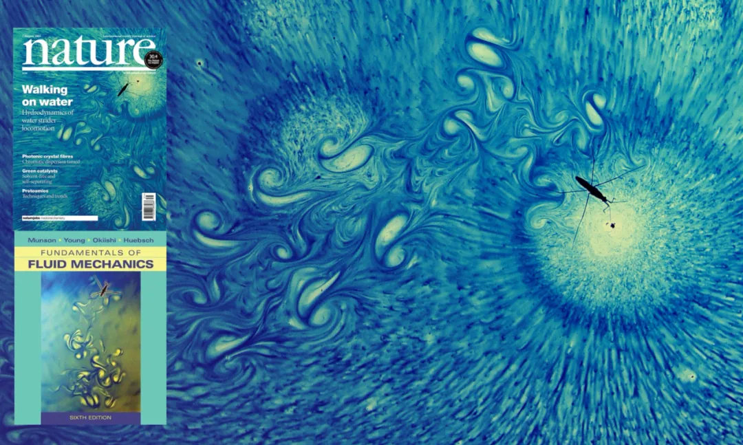 孩子膀胱容量130,儿童最大膀胱容量197正常吗