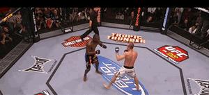 格斗明星的标准动作,格斗如何练抗打能力视频