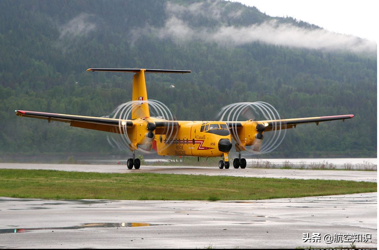 飞机制造商对动物的喜爱到底有多深?——德哈维兰加拿大