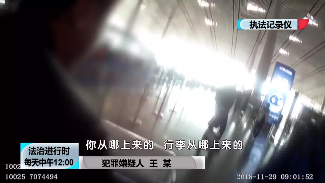 【BTV-我是检察官】认罪认罚背后的故事④：犯罪团伙*私走**高鼻羚羊角303根，价值606万元