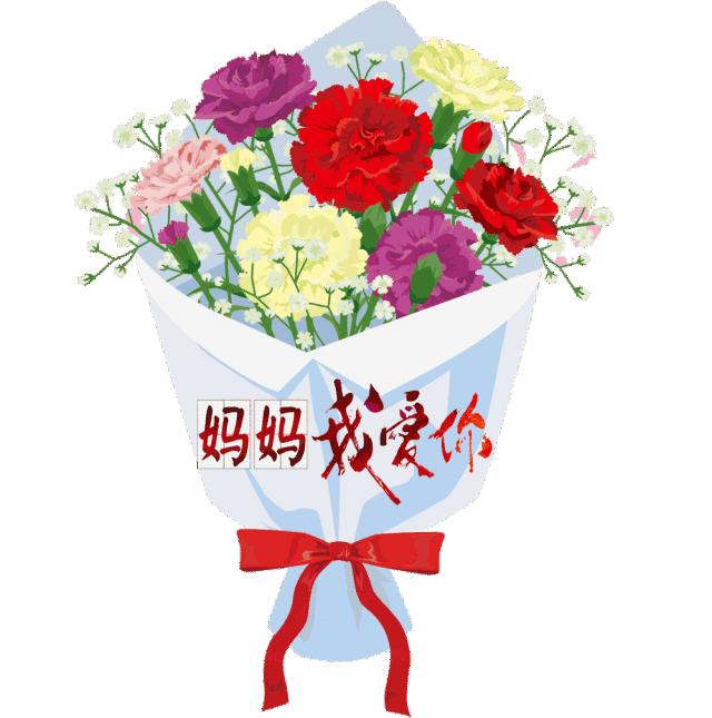 长寿花母亲节,母亲节长寿花视频