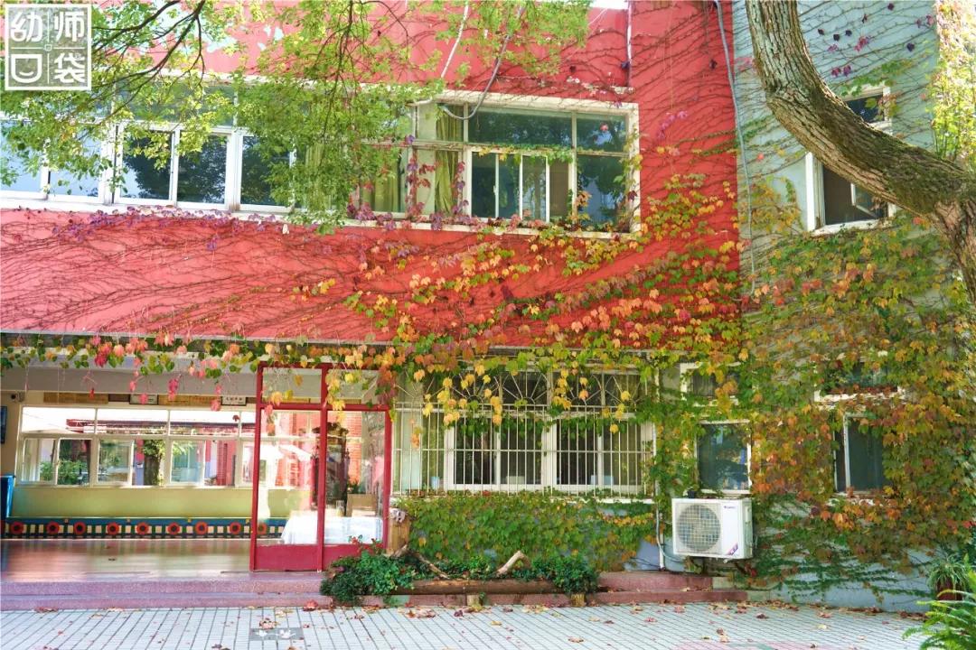 这里有最好的自然、最野的运动、最幸福的老师和孩子丨走进幼儿园