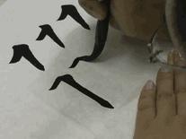 欧楷书法入门教程,欧楷书法的教程视频