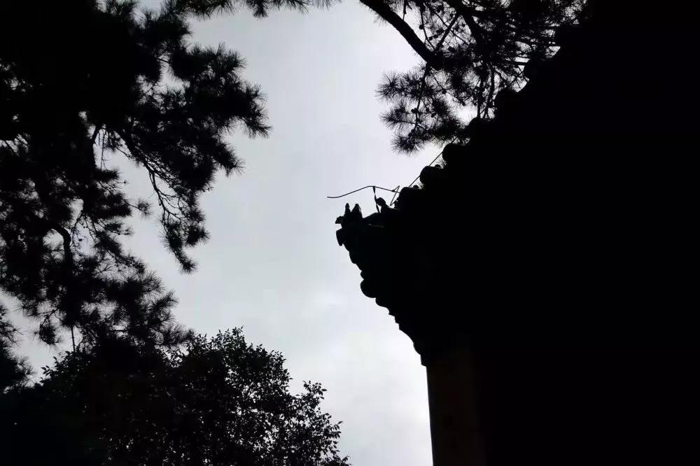 明十三陵康陵历史厚重感,探访明十三陵未开放的陵墓