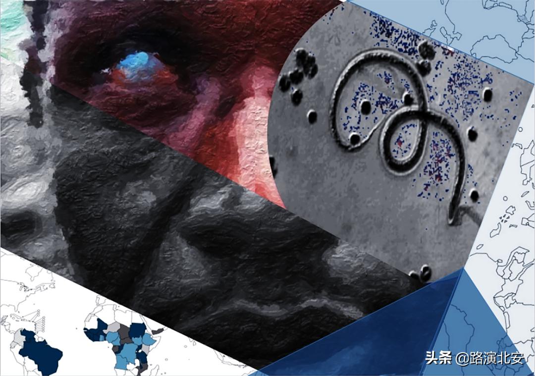 生命的故事绘本视频,生命的故事绘本绘画