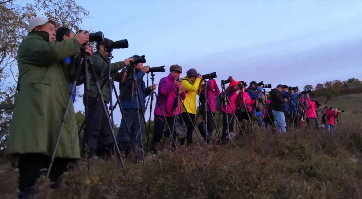 承德风光旅行社,承德运通旅行社