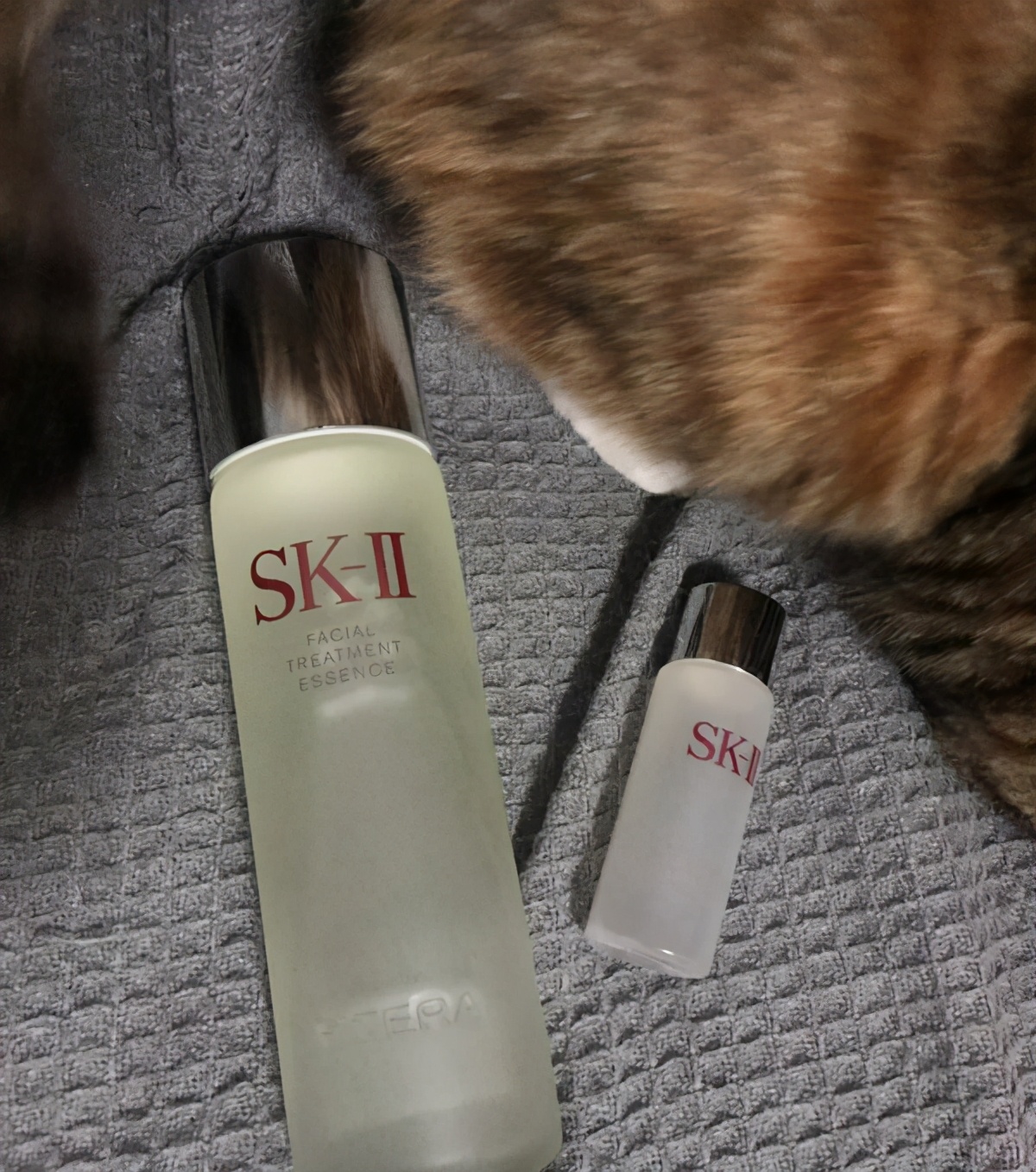 补水效果比较好的护肤品有哪几种,补水效果好的护肤品有哪些