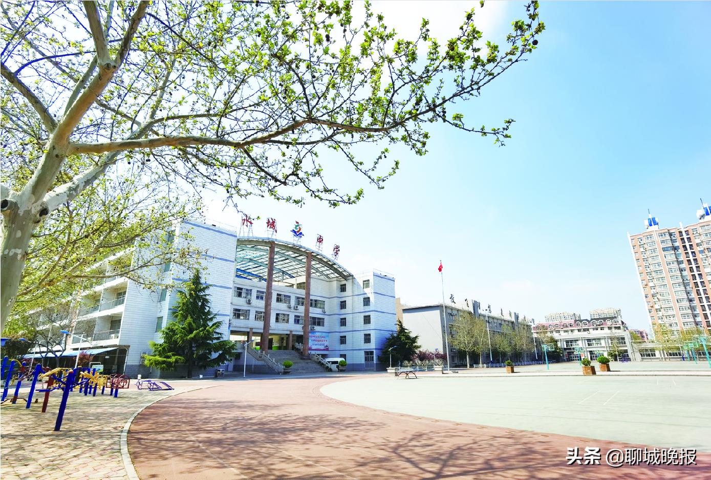 聊城前十名的高中,聊城排名前十的高中
