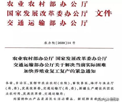 猪料降价,正邦猪饲料价格行情