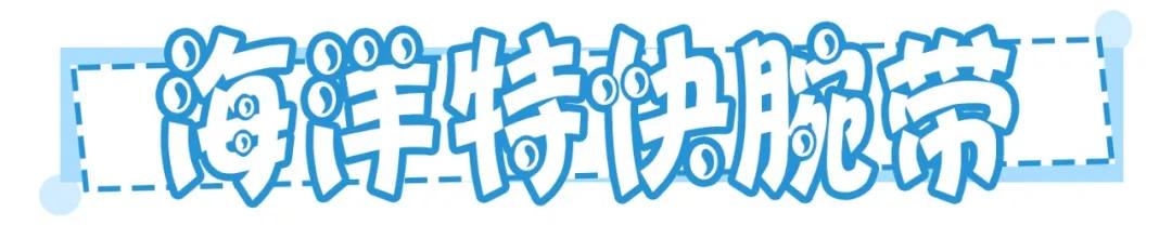 一天珠海长隆最全游玩攻略,最新的珠海长隆游玩攻略