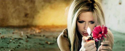 中国对艾薇儿的态度,艾薇儿非主流鼻祖