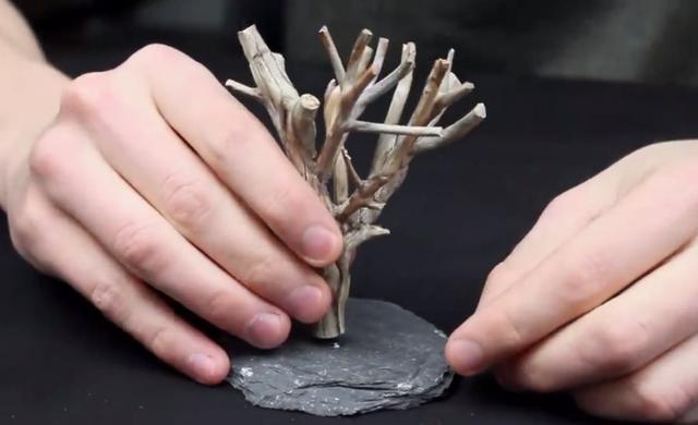 莫斯树到底好不好,莫斯树是什么