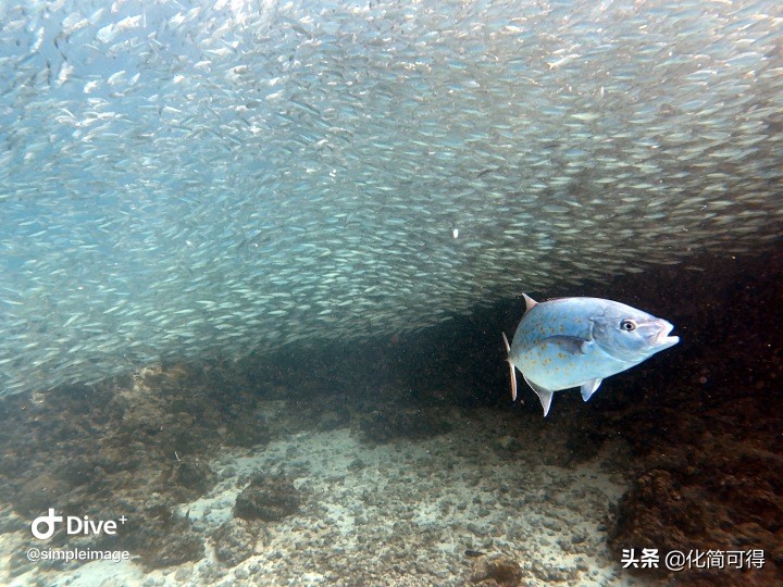 600元玩转澳门三天两夜全攻略,5000块钱玩菲律宾六个海岛