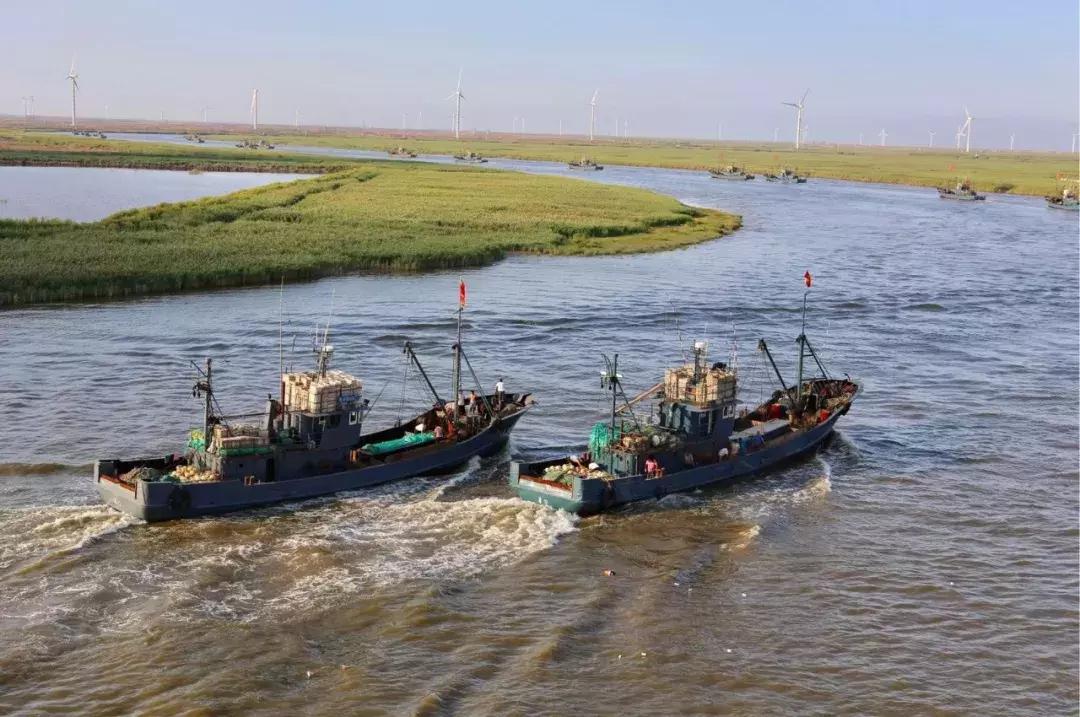 寿光羊口海鲜什么时间去合适,寿光羊口开海时间