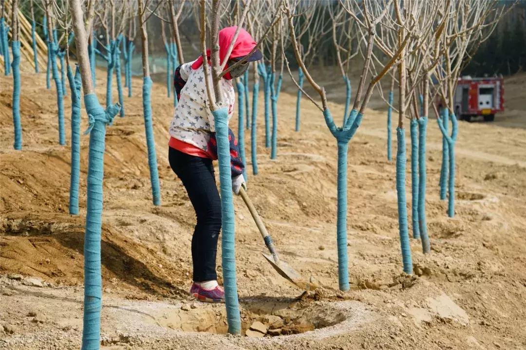 西宁一个臭水沟变成了大公园，看看在哪？
