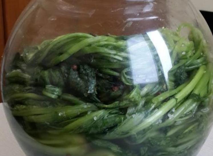 雪里蕻为啥老,为什么腌雪里蕻很臭
