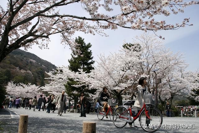待到山花烂漫时完整版,待到樱花烂漫时的视频