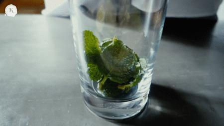 教你做最适合夏天的淡酒精饮料：莫吉托