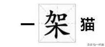一根猫、一滩猫、一架猫，喵星人逆天姿势大全