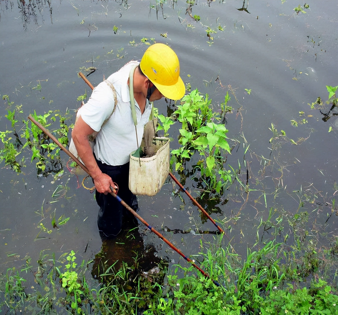 长江禁渔十年后长江渔业怎么样,禁渔渔民生计