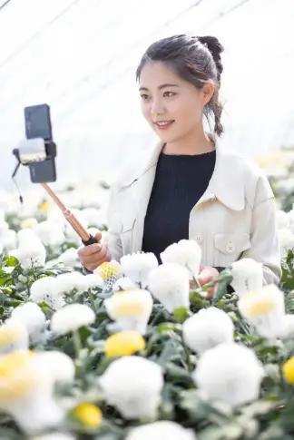 26岁江苏美女,回村创业,年入百万,婚礼直播被打赏10万元