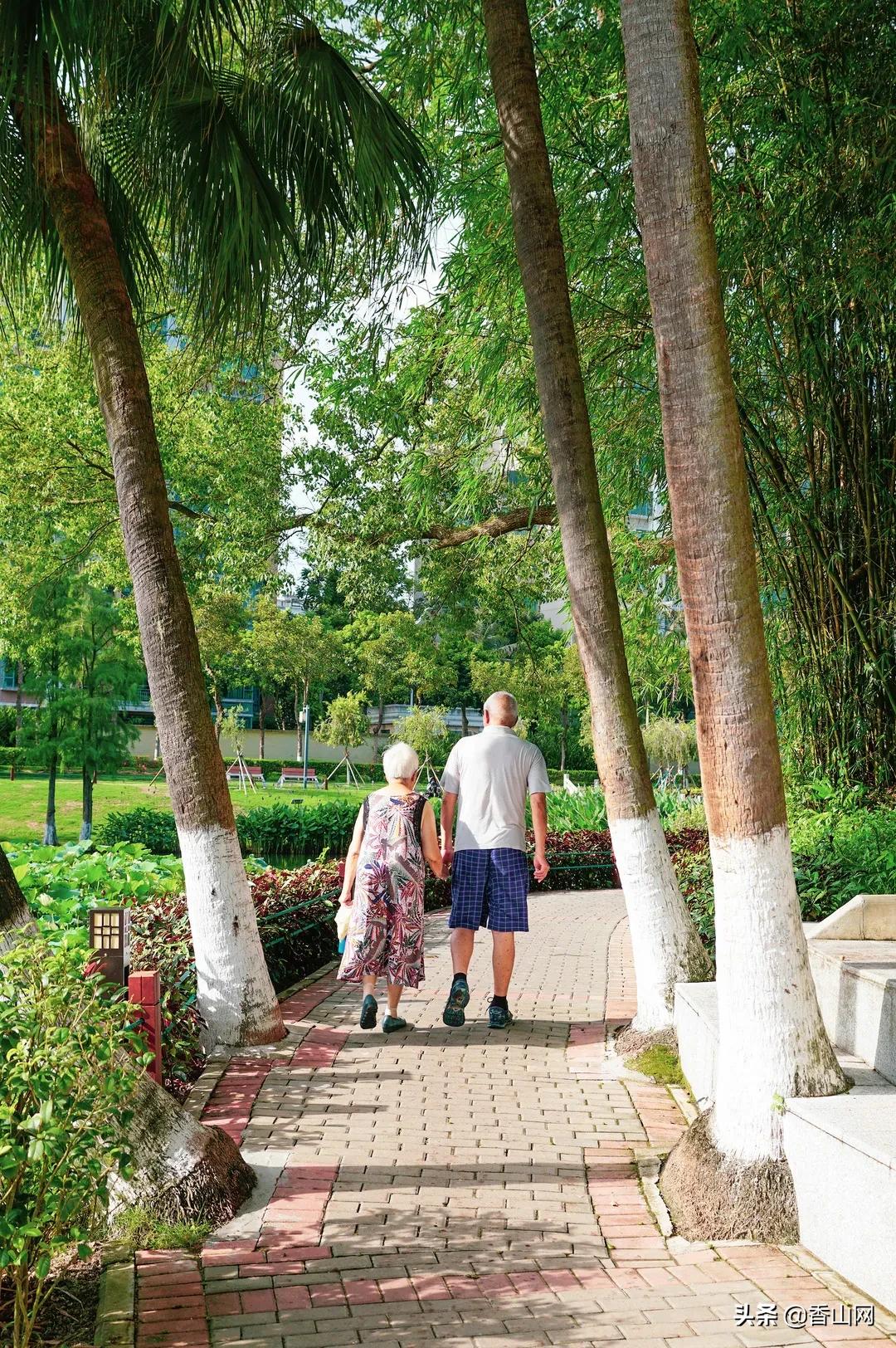 珠海鲜为人知的一面,珠海有名的花园