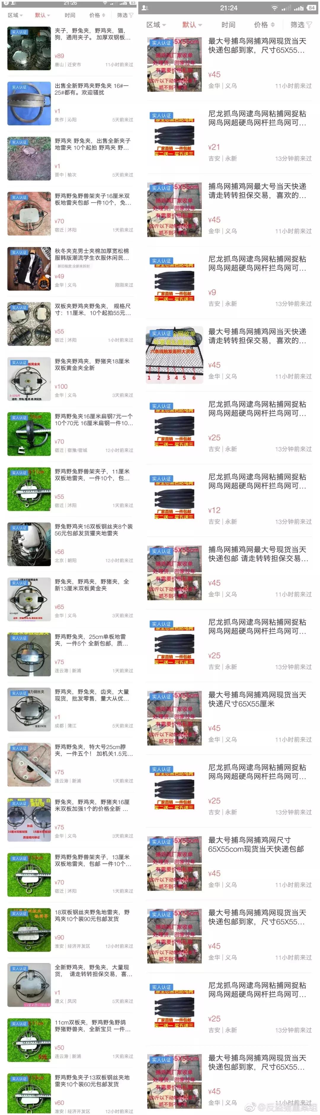 从禾花雀到云雀，又一种鸟快被中国人吃绝种了！