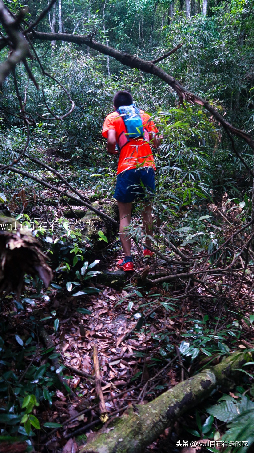 福州十八重溪徒步路线,福州森林公园登山徒步路线
