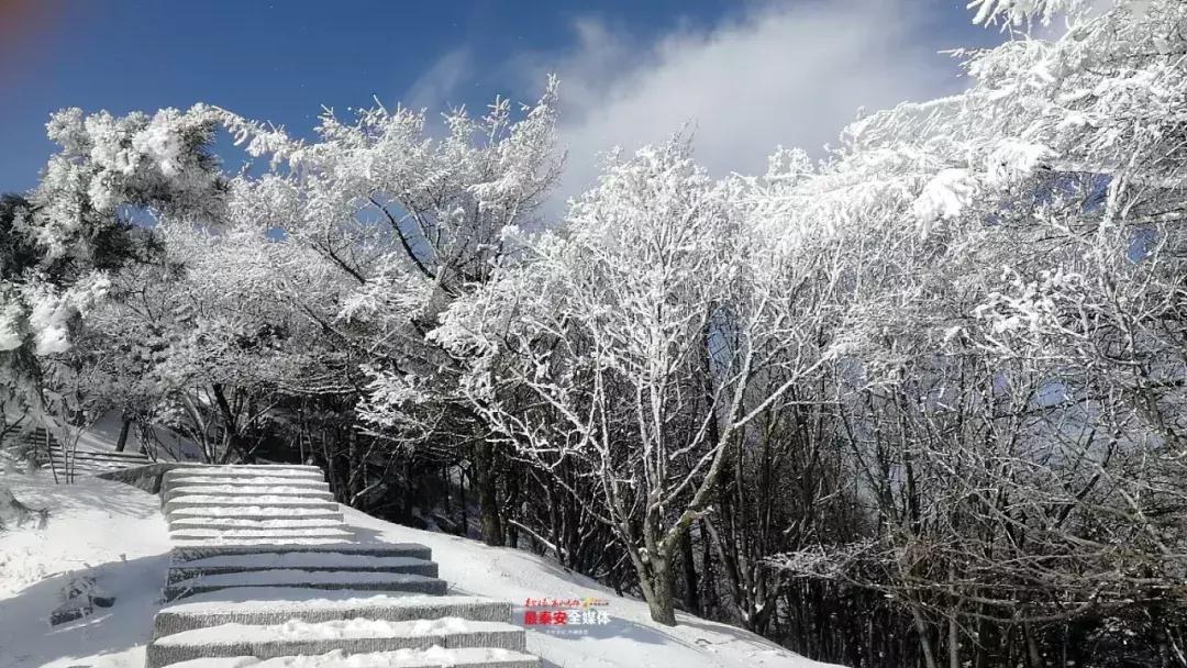 此刻泰山成了雪国,美到无言!高清美图来袭,“雪国的列车”即刻发车!
